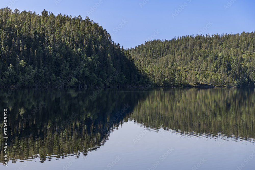 Captivating summer panorama of Snasavatnet in Steinkjer, Norway, where dense forests elegantly reflect on the lake's tranquil, pristine waters beneath a sun-drenched, clear blue sky