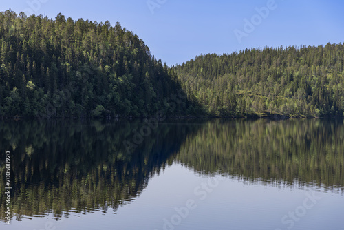 Captivating summer panorama of Snasavatnet in Steinkjer, Norway, where dense forests elegantly reflect on the lake's tranquil, pristine waters beneath a sun-drenched, clear blue sky