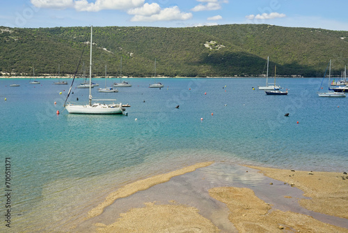 Marina e porto di Trget. Istria. Croazia photo