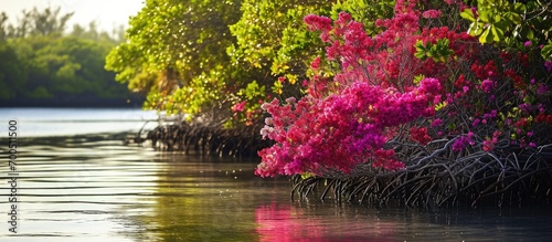 A captivating photograph of a mangrove forest in full bloom with colorful flowers and foliage adding a touch of vibrancy to the coastal landscape. Creative Banner. Copyspace image