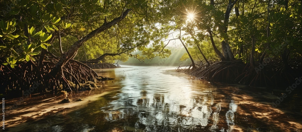 An impressive image of a mangrove forest stretching towards the horizon displaying its vital role in coastal protection and biodiversity conservation. Creative Banner. Copyspace image An impressive image of a mangrove forest stretching towards the horizon displaying its vital role in coastal protection and biodiversity conservation. Creative Banner. Copyspace image