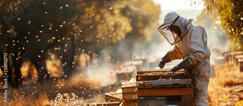Beekeeping or apiculture care of the bees working hand on honey apiary also bee yard with beehives and working beekeepers in australian outback honey bee on the honeycomb or flying home photo