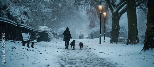 A person is seen walking two dogs through a misty morning snow scene The Stray Harrogate North Yorkshire UK. Creative Banner. Copyspace image