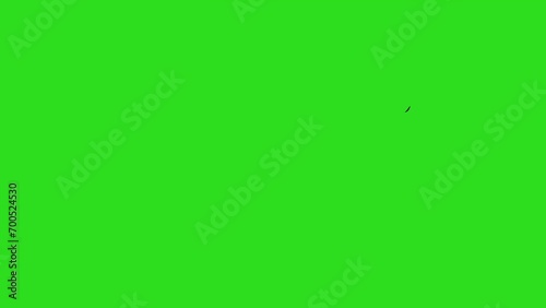 Fire transition elements pack. 4k 2d Cartoon fire transitions with green screen png background. More elements in our portfolio.