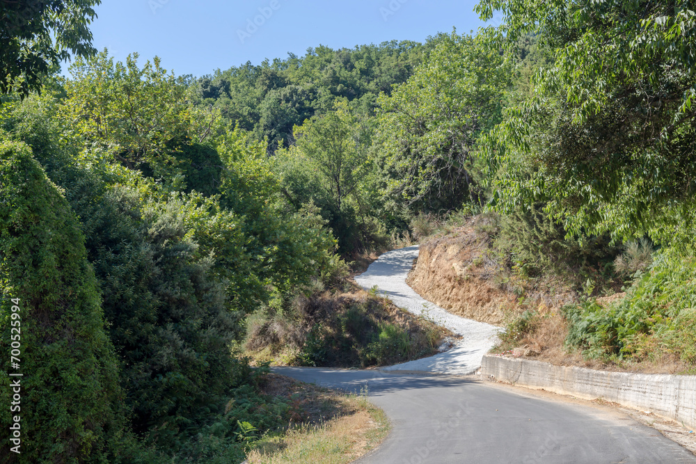 Road to the mountains near the village (Pelion, Magnesia, Greece)