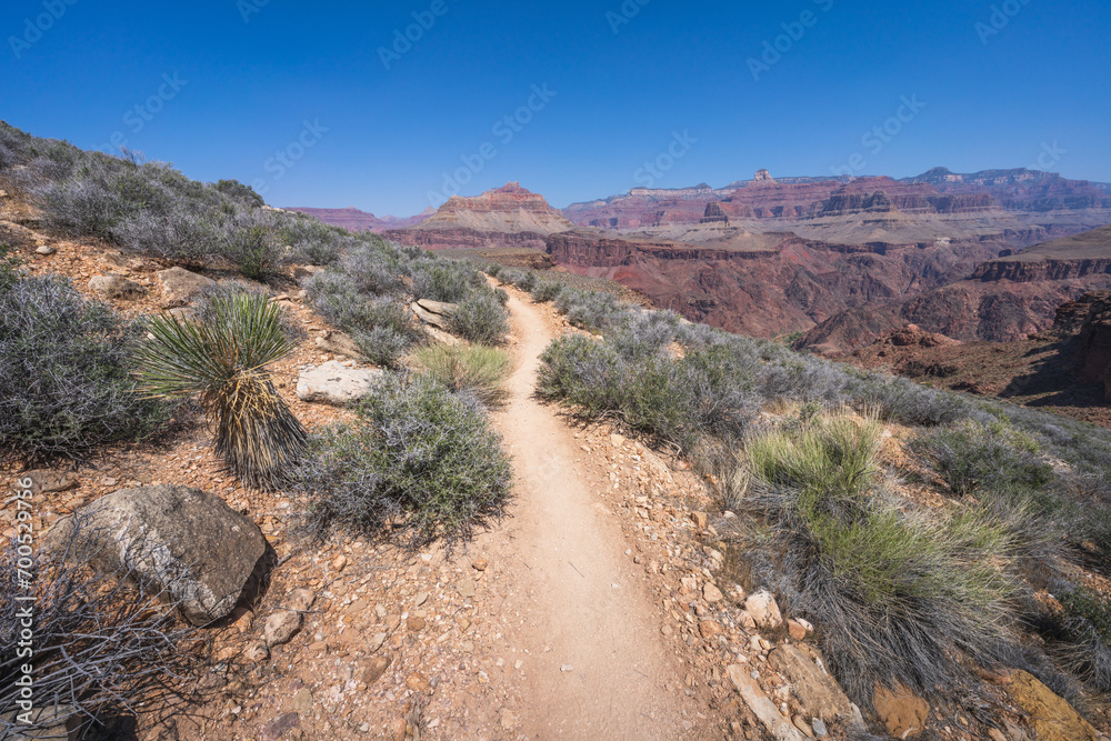 Fototapeta premium hiking the tonto trail in the grand canyon national park, arizona, usa