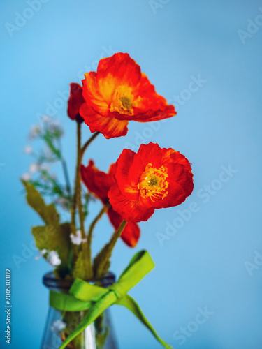 Red color poppy flower bouquet in a glass jar bottle tied by green ribbon. Blue wall background. Beautiful decoration element of a room in a house. Still life.