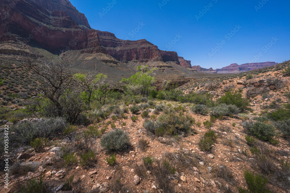 hiking the tonto trail in the grand canyon national park, arizona, usa