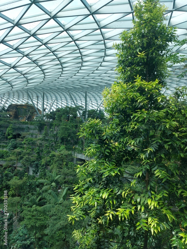 singapura, paisagem, edifício, arquitetura, verde, design, céu, azul, planta. árvore, ar livre, asia, viagem, turismo, verde, azul, exterior, arte