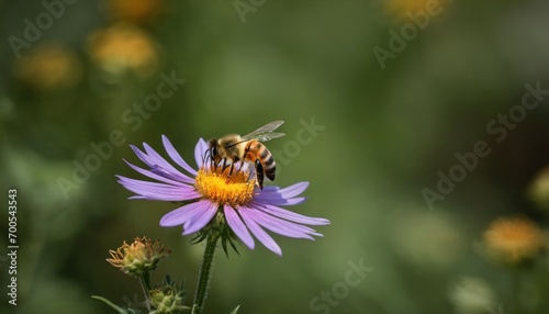  a bee sitting on a purple flower in the middle of a field of yellow and purple flowers in the foreground, with a blurry background of green and yellow flowers in the foreground.