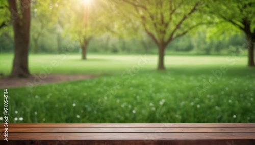  a wooden bench sitting in the middle of a park with a green grass field and trees on the other side of the bench and a bright sun shining through the trees.