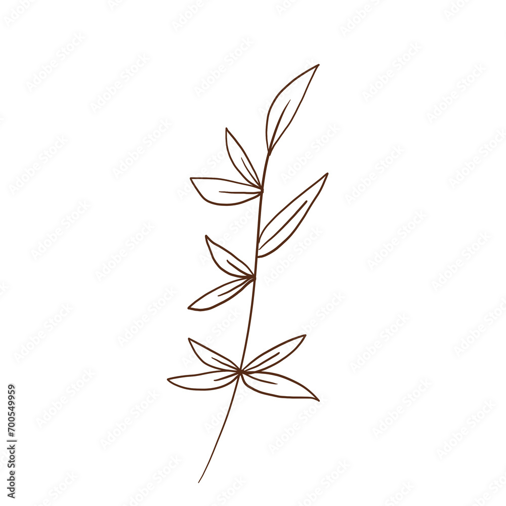 doodle leaves decoration doodle leaves decoration