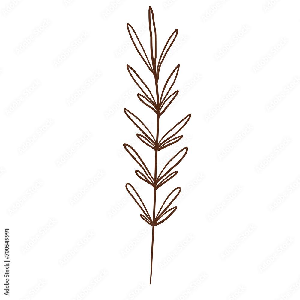 doodle leaves decoration doodle leaves decoration