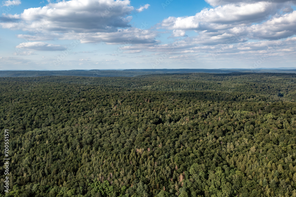 Bavarian_Forest Bavarian_Forest