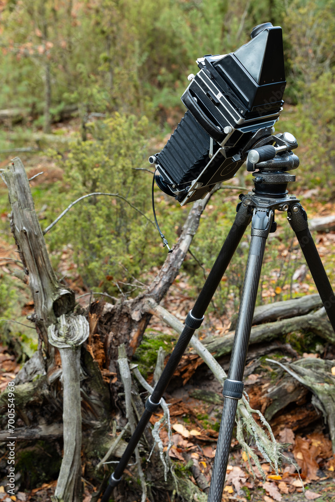 Close view of large format view camera on a tripod in the forest taking ...