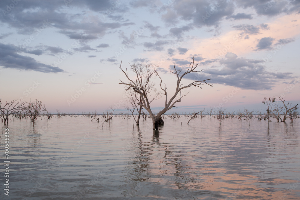 Fototapeta premium Sunset Lake Pamamaroo, Menindee