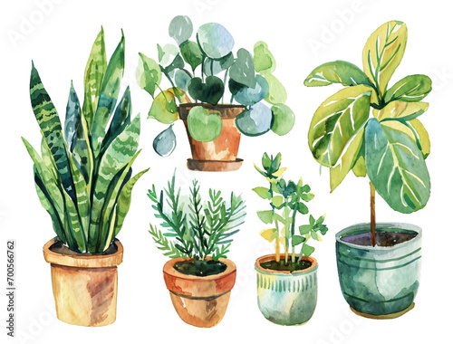 cactus in pots watercolor texture decorative stickers