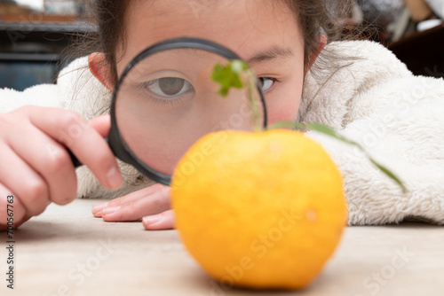 虫眼鏡で柚子を見る子供 photo