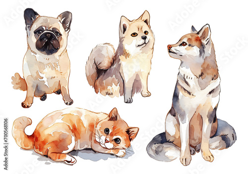set of pets watercolor texture decorative stickers