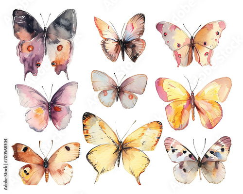 set of butterflies watercolor texture decorative stickers © Anthony