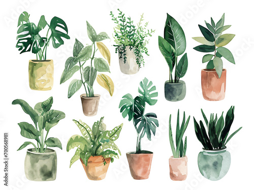 set of plants watercolor texture decorative stickers