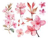 cherry blossom watercolor texture decorative stickers