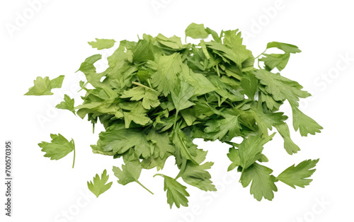 The Art of Using Chopped Dry Parsley Leaves on White or PNG Transparent Background