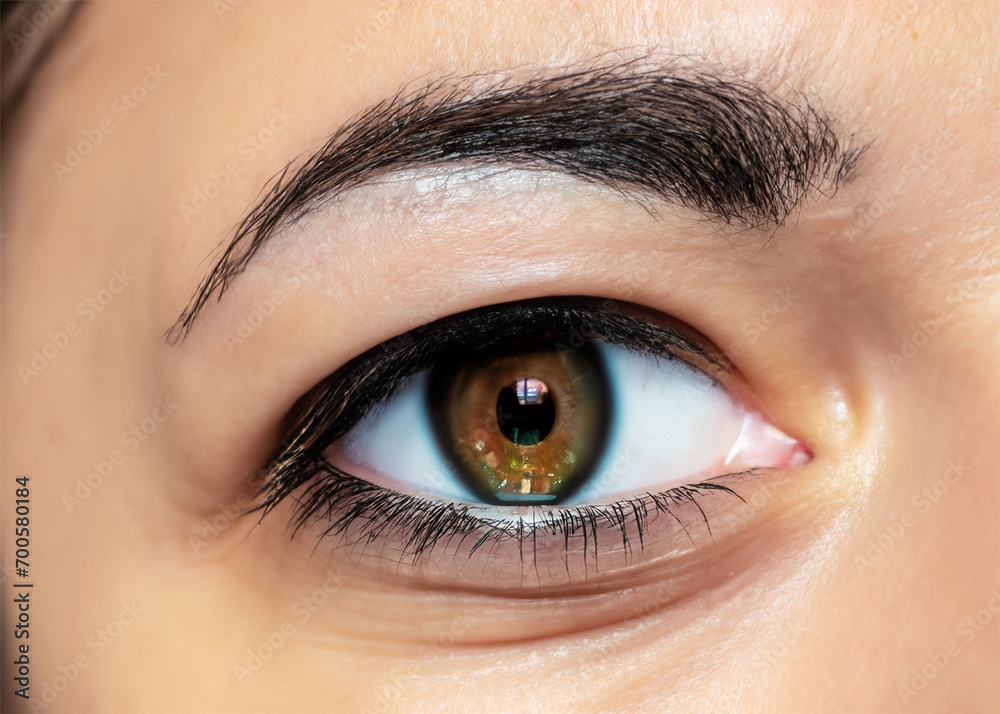 Obraz premium Human eye