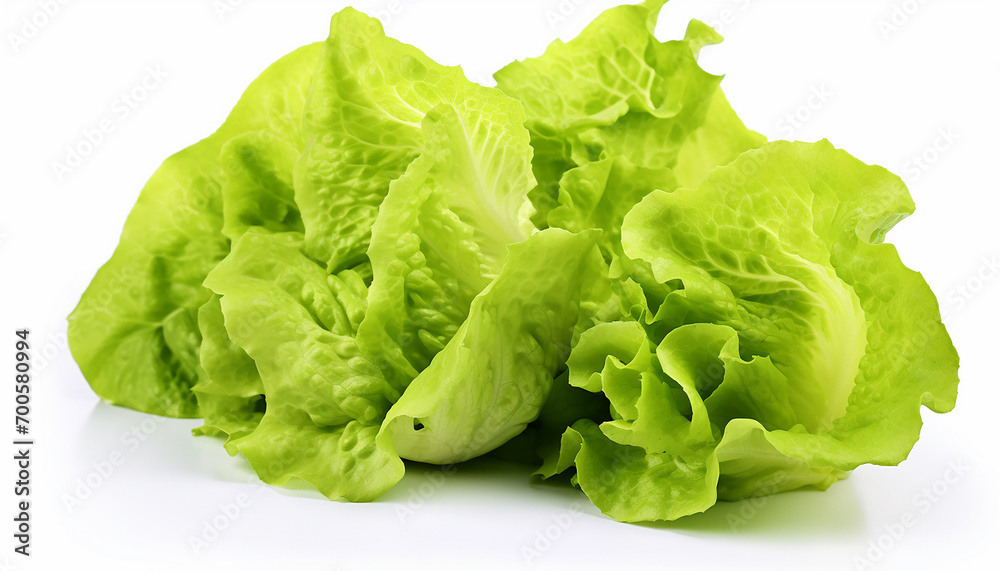 Lettuces Isolated on White Background Lettuces Isolated on White Background