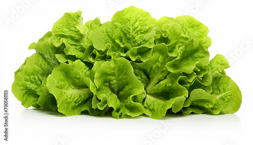 Lettuces Isolated on White Background"