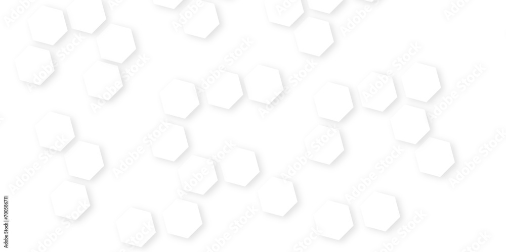Background with hexagons . Abstract background with lines . white texture background . hexagon abstract background. Seamless background. Abstract honeycomb background. Background with hexagons . Abstract background with lines . white texture background . hexagon abstract background. Seamless background. Abstract honeycomb background.