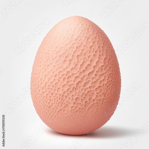 Coral stone Egg shape on white background