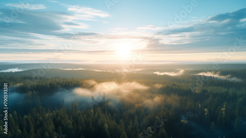 Sunrise Serenity - Vast Forest from Above