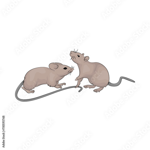 Illustration of two mouse 