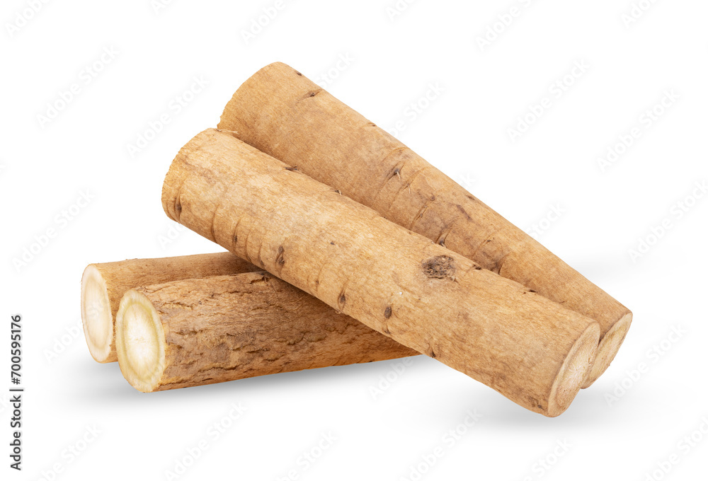 burdock roots or kobo isolated on transparent png burdock roots or kobo isolated on transparent png