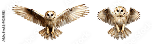 Owl flying, isolated on transparent or white background
