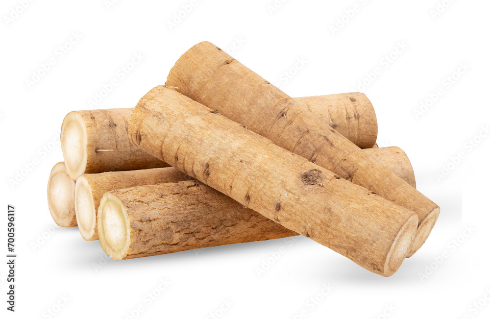 burdock roots or kobo isolated on transparent png