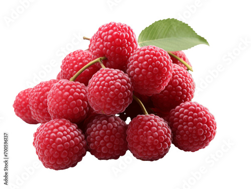 Longanberry Fruit on white background