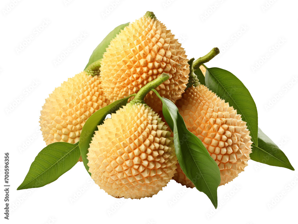 simple clip art of Akebi Fruit on white background simple clip art of Akebi Fruit on white background