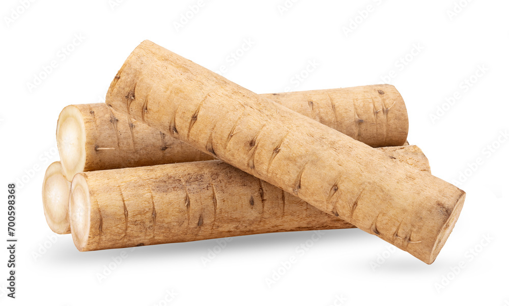 burdock roots or kobo isolated on transparent png burdock roots or kobo isolated on transparent png