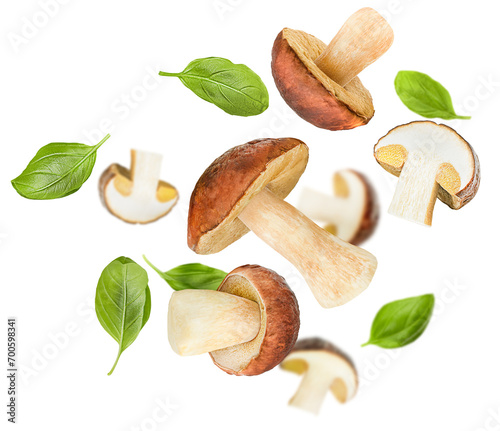 levitation of ceps and basil leaves on a white isolated background photo