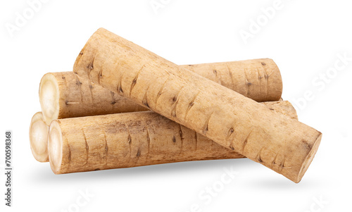 burdock roots or kobo isolated on transparent png photo