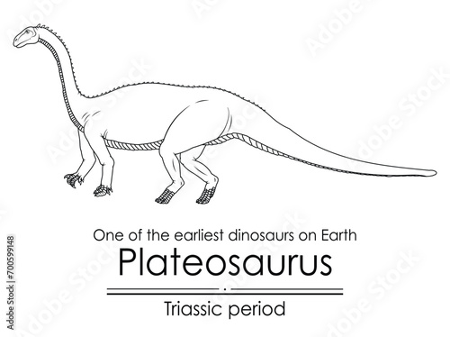 Plateosaurus  one of the earliest dinosaurs on Earth  appeared during the Triassic period. Black and white line art  perfect for coloring and educational purposes.