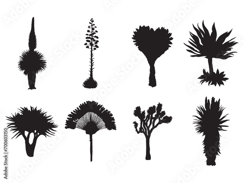 set of exotic tree silhouette collection .aloe and palm tree vector illustration