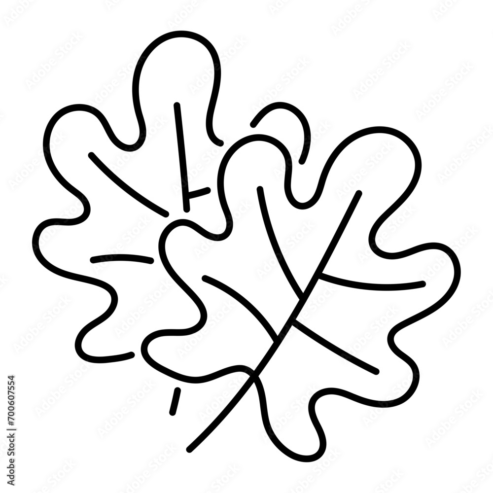 Obraz premium Brown Maple Leaf Concept, dry dead oak leaves for Thanksgiving Day Vector line icon Design, Harvest festival Symbol, Secular holiday Sign, Religious and cultural traditions Stock Illustration