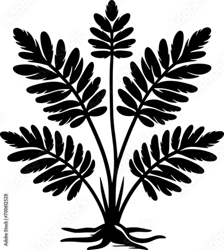 Gyrostemonaceae plant icon 9