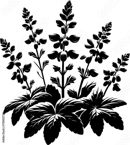 Grossulariaceae plant icon 1 photo