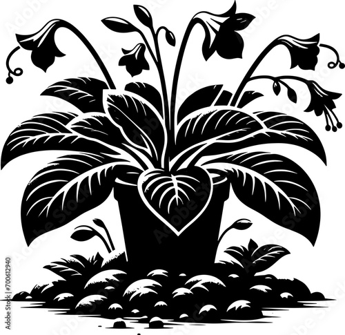 Gesneriaceae plant icon 6