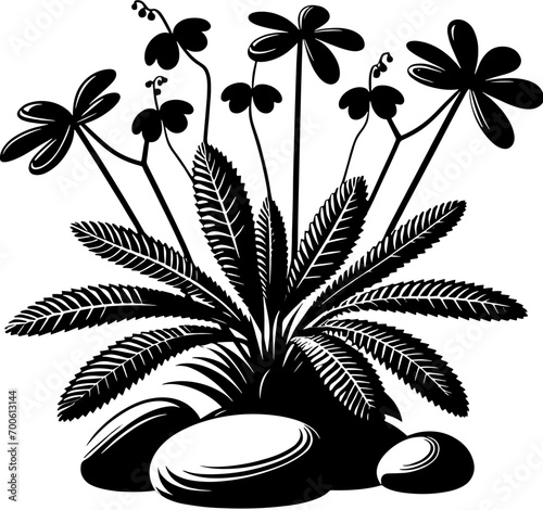 Geissolomataceae plant icon 7