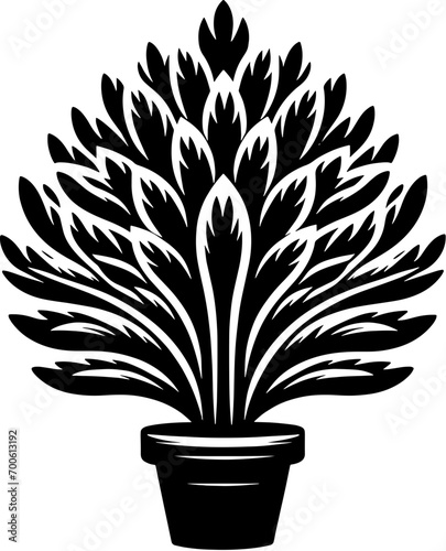 Garryaceae plant icon 8